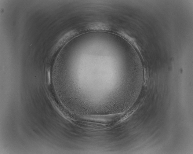 X0000083010061200702021100