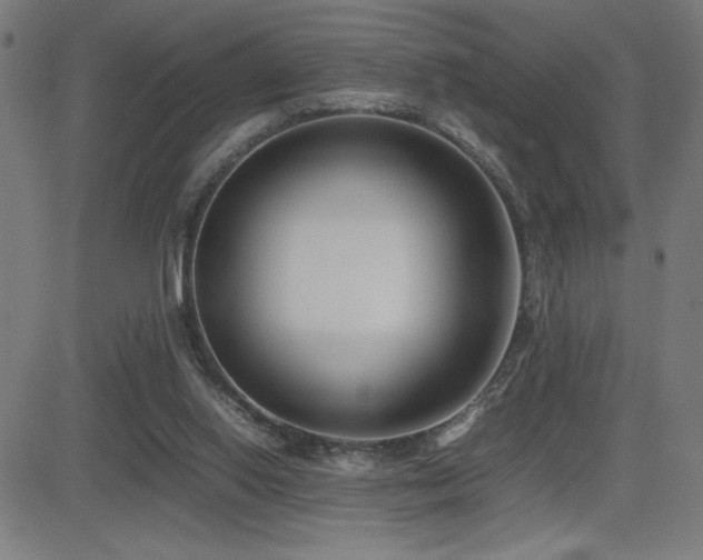 X0000083010062200702021100