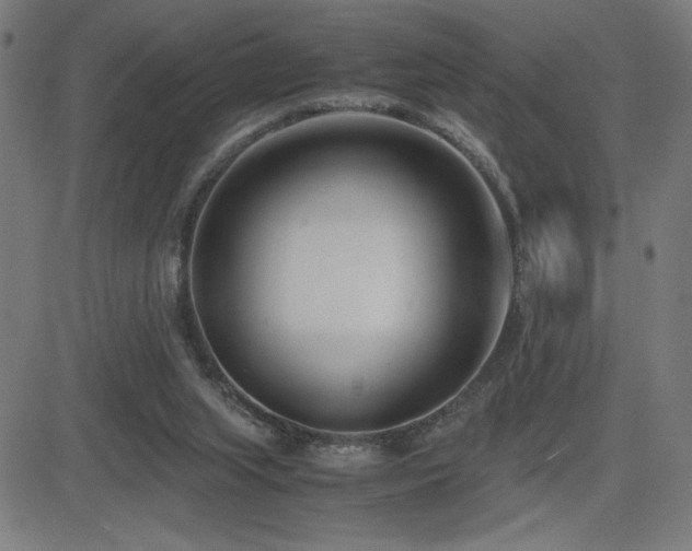 X0000083010063200702021100