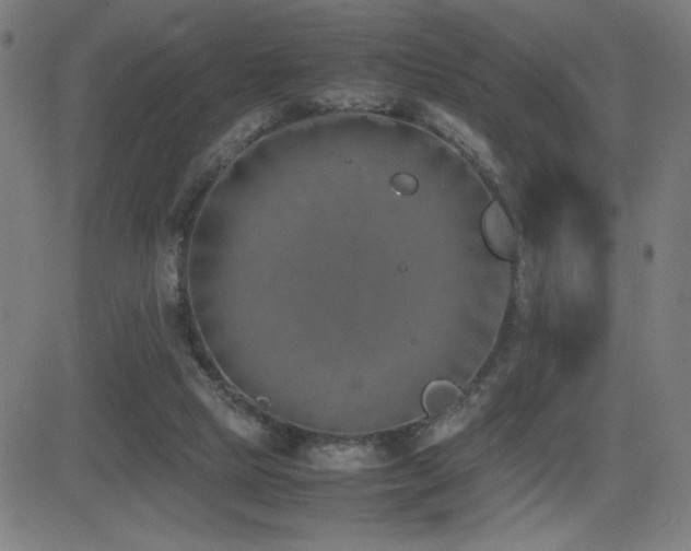 X0000083010065200702021100