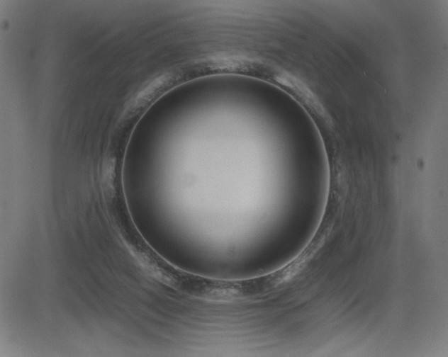 X0000083010066200702021100