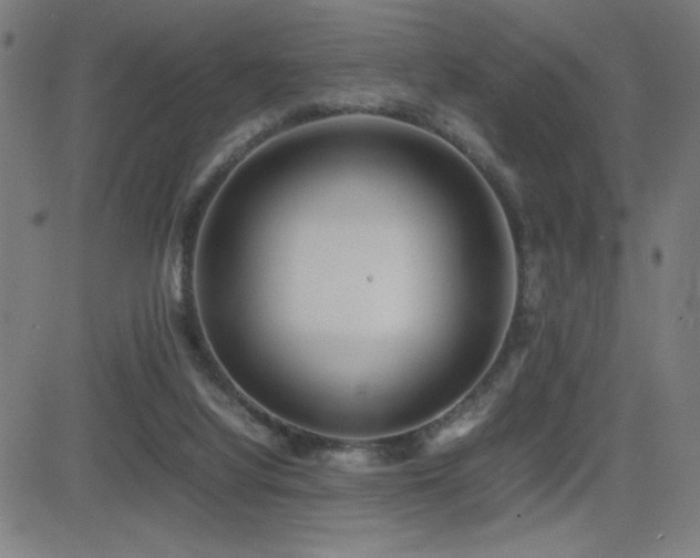 X0000083010068200702021100