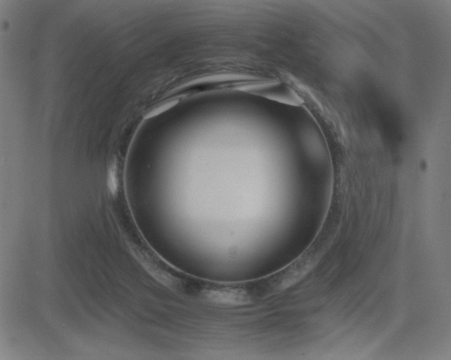 X0000083010069200702021100