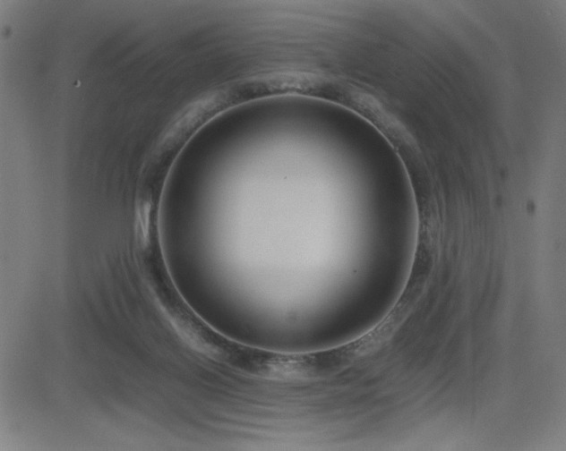 X0000083010070200702021100