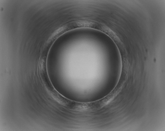 X0000083010071200702021100