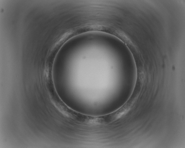 X0000083010072200702021100