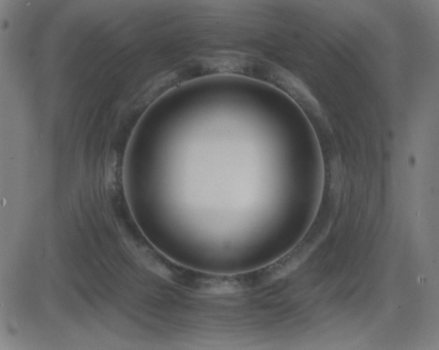 X0000083010073200702021100