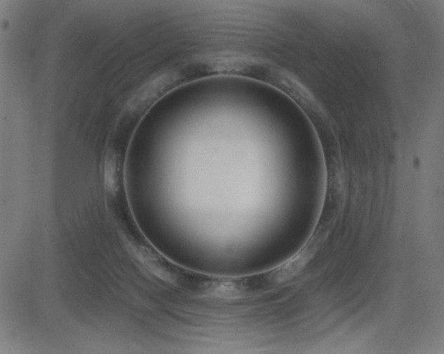 X0000083010074200702021100