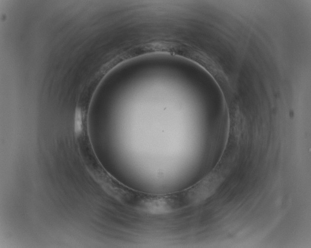 X0000083010075200702021100