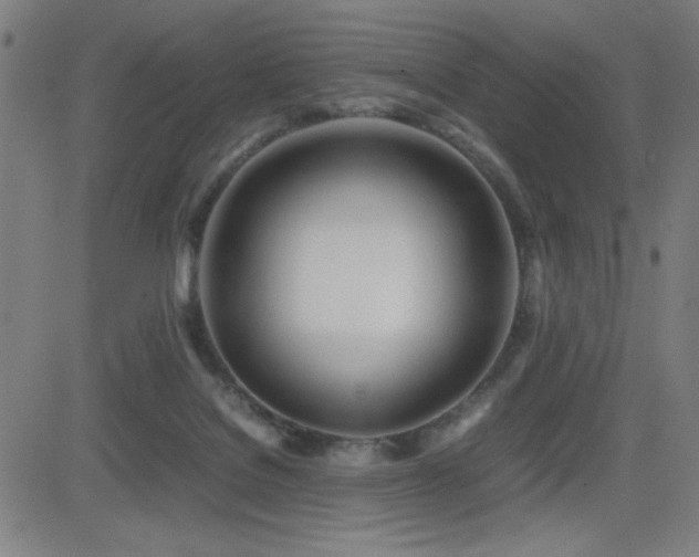 X0000083010076200702021100