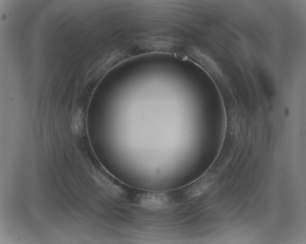 X0000083010077200702021100