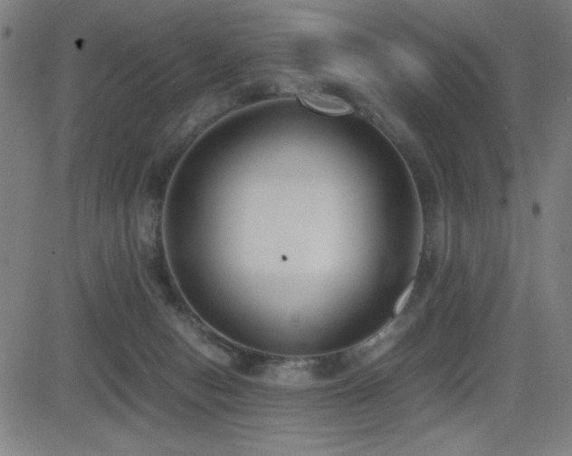 X0000083010078200702021100