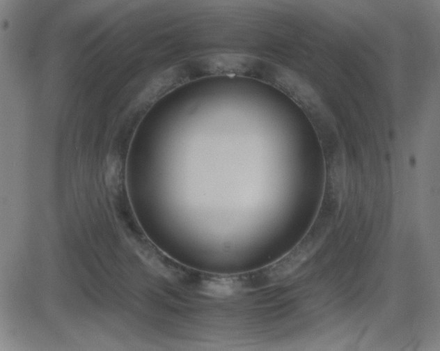 X0000083010079200702021100