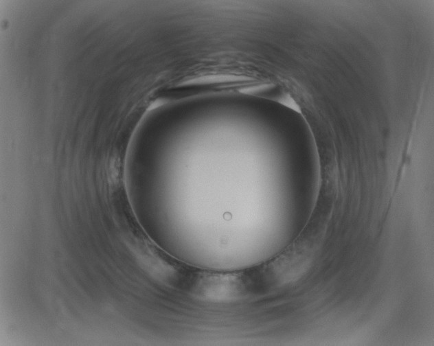 X0000083010081200702021100