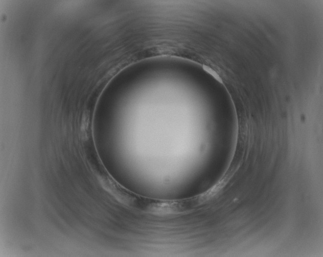 X0000083010082200702021100