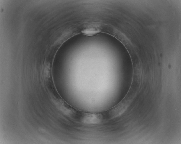 X0000083010083200702021100