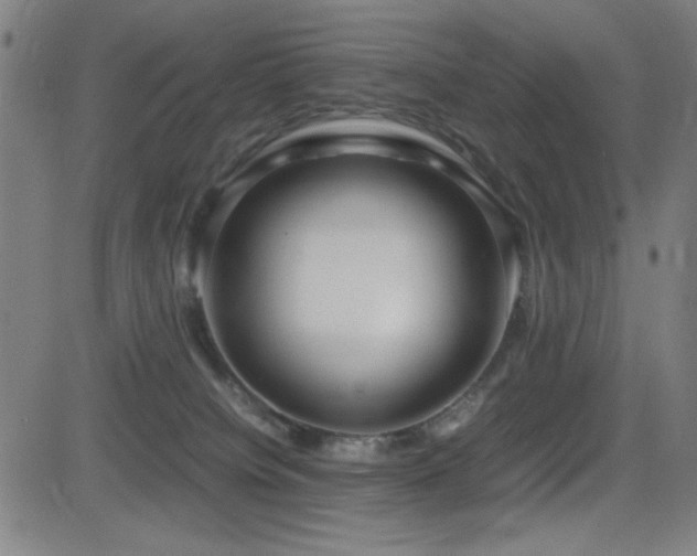 X0000083010084200702021100