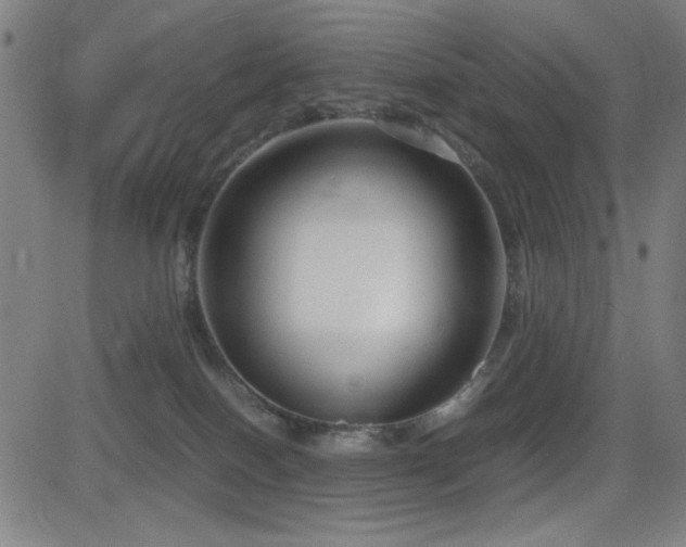 X0000083010086200702021100