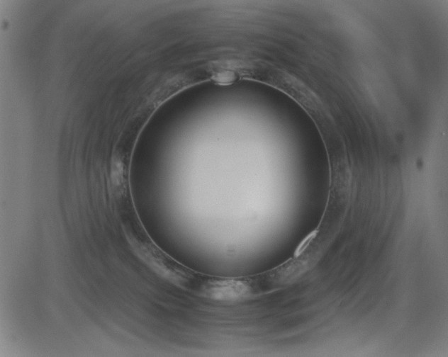 X0000083010087200702021100