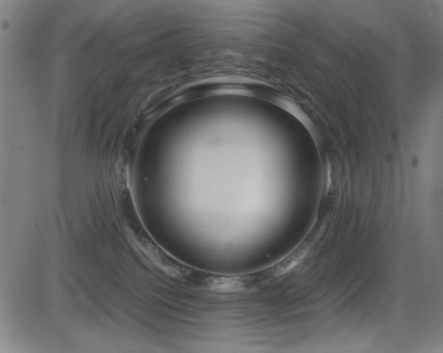 X0000083010088200702021100