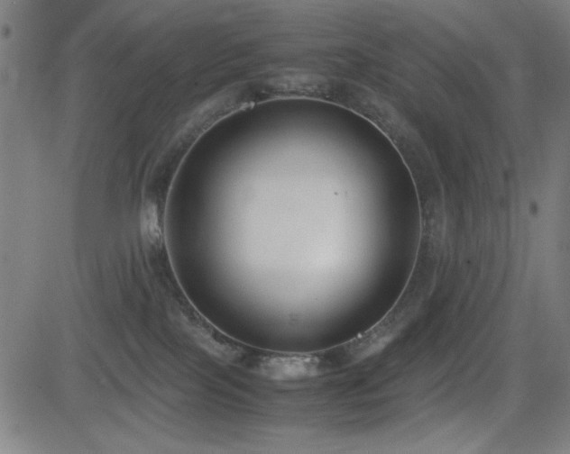 X0000083010089200702021100