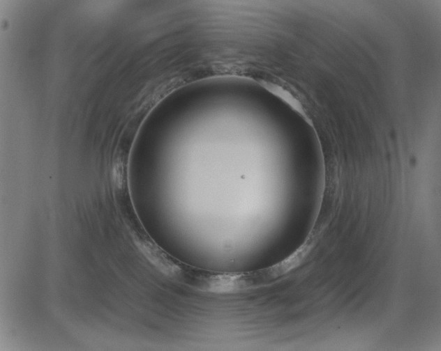 X0000083010090200702021100