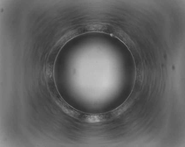 X0000083010091200702021100