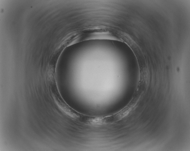 X0000083010092200702021100