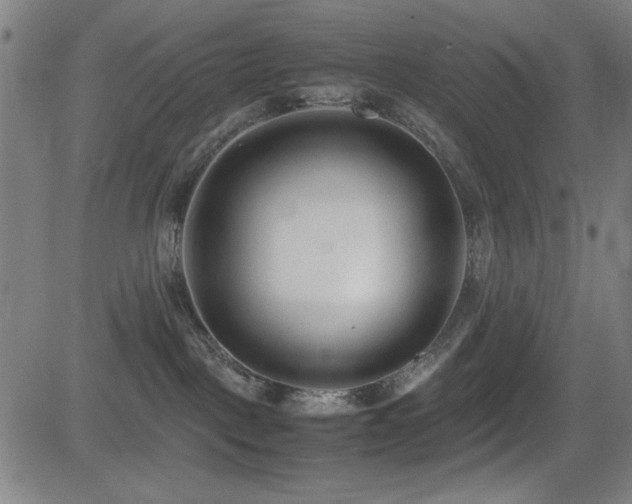 X0000083010093200702021100