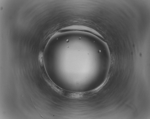 X0000083010094200702021100