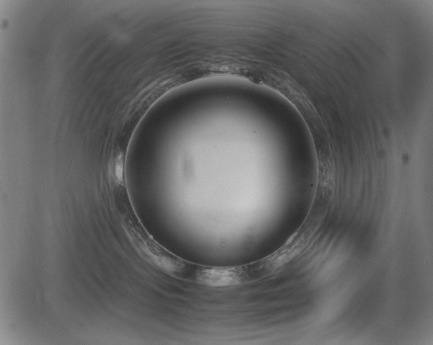 X0000083010095200702021100