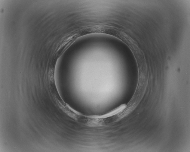 X0000083010096200702021100