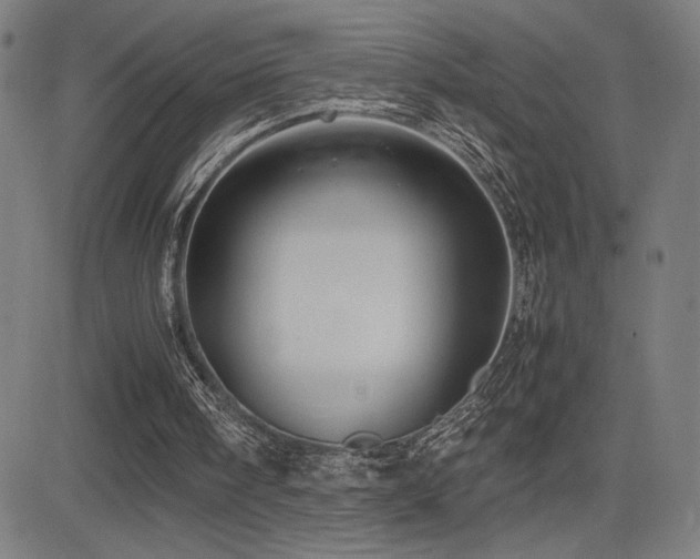 X0000083010098200702021059
