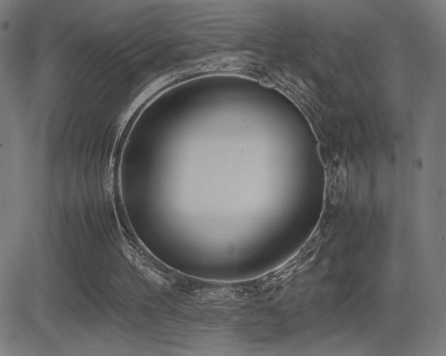X0000083010100200702021059