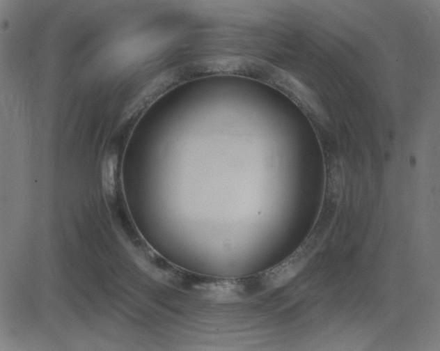X0000083010118200702021059
