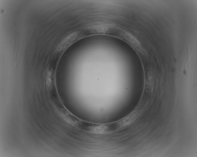 X0000083010122200702021059