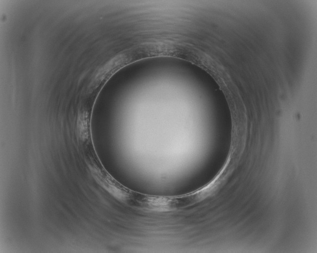 X0000083010144200702021059