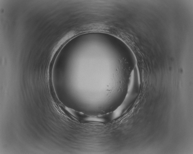 X0000083010148200702021058