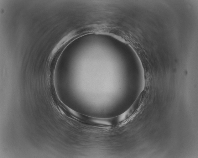 X0000083010150200702021058