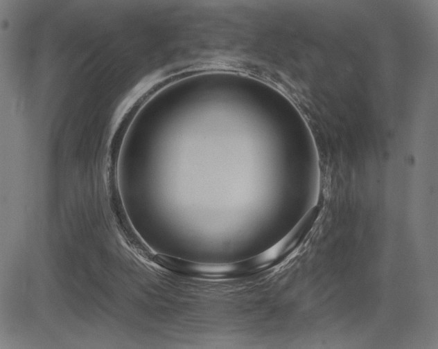 X0000083010152200702021058