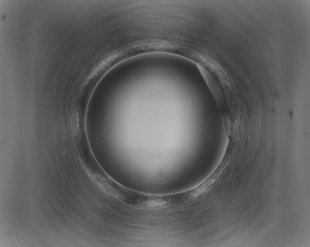 X0000083010158200702021058