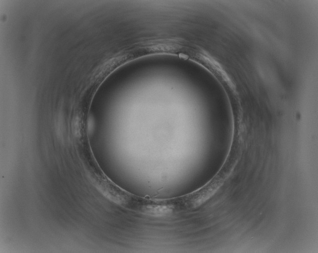 X0000083010161200702021058