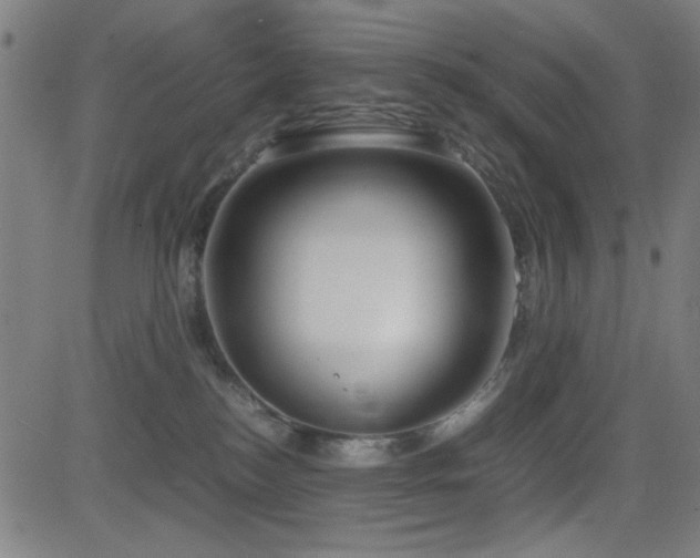 X0000083010184200702021059