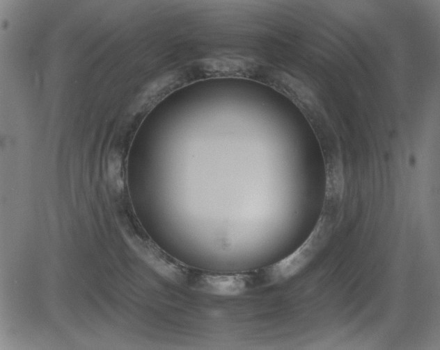 X0000083010187200702021059