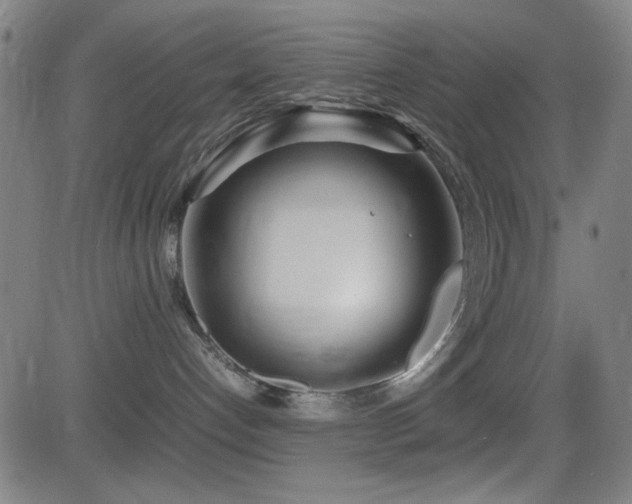 X0000083010192200702021059