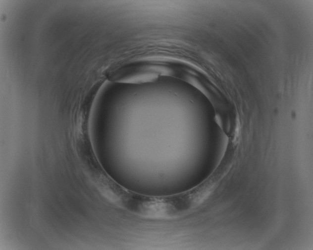 X0000083010219200702021057