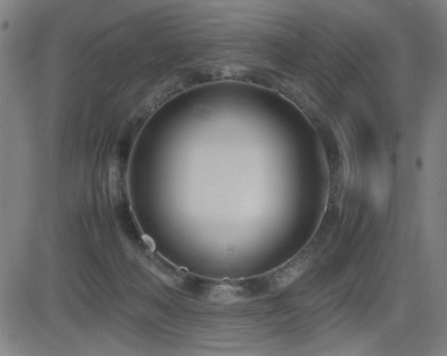 X0000083010222200702021057