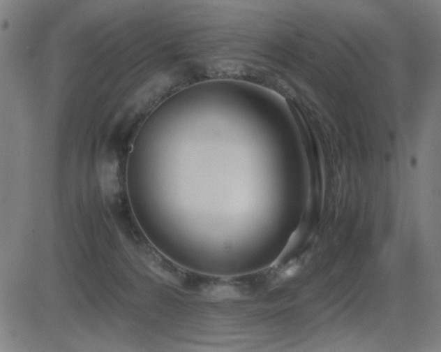 X0000083010224200702021057