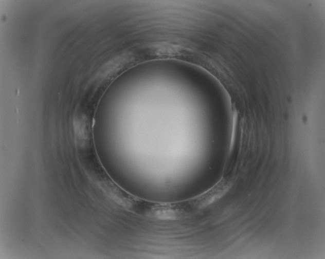 X0000083010228200702021057