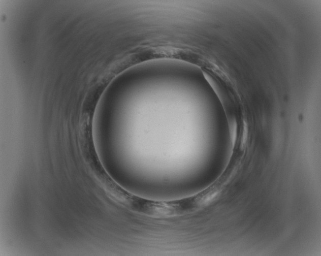 X0000083010229200702021057